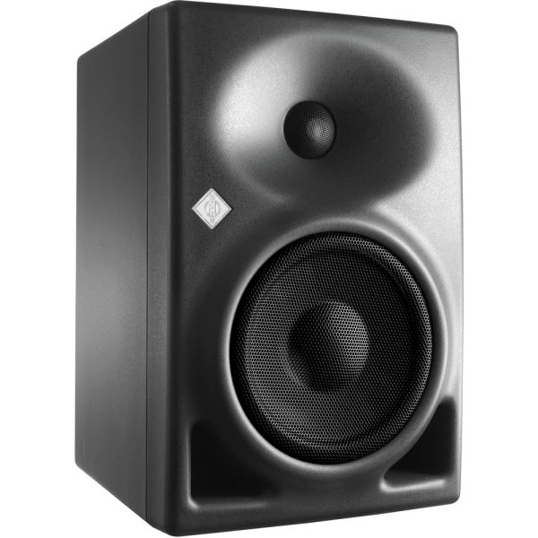 Neumann KH 120-A Studio Monitor For Cheap