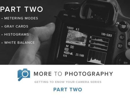 More to Photography Part Two (September 15th) Discount