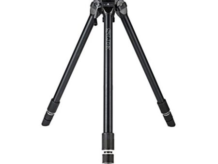 Slik THE PROFESSIONAL Tripod Legs Online