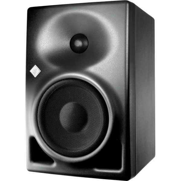 Neumann KH 120-A Studio Monitor For Cheap